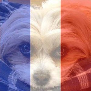 Meet your Posher, Gary